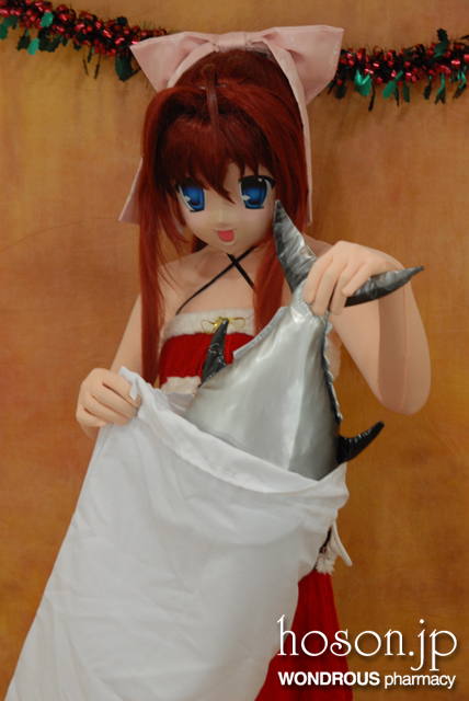 hoson.jp