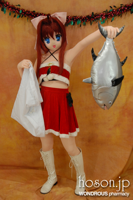 hoson.jp