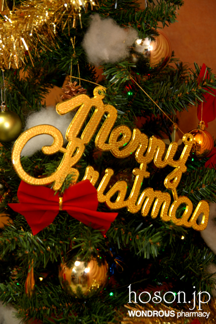 クリスマス大作戦(2)