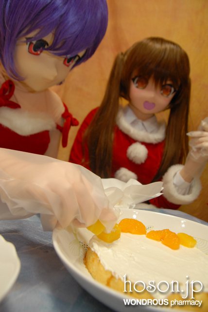 クリスマス大作戦(5)