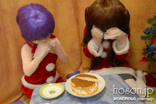クリスマス大作戦(5)